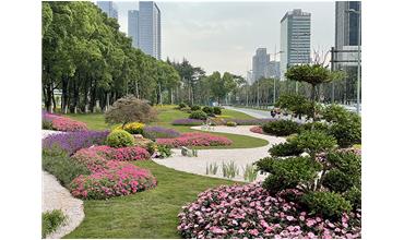 來現(xiàn)場打卡，感受“美麗無錫”的美好